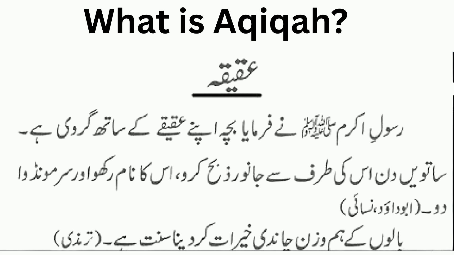 The Aqiqah: A Guide to Welcoming a Newborn