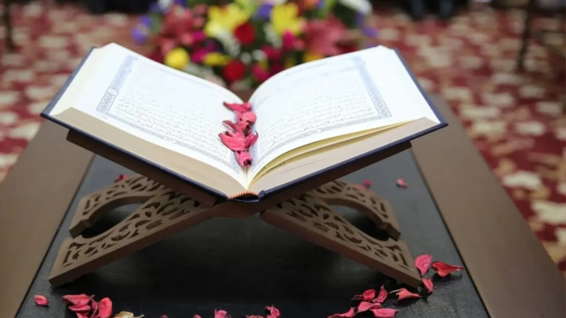 The Best English Translations of the Quran