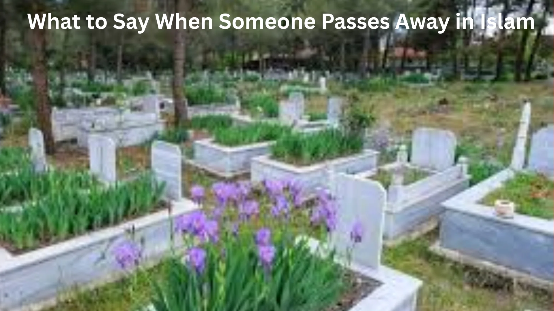 What to Say When Someone Passes Away in Islam