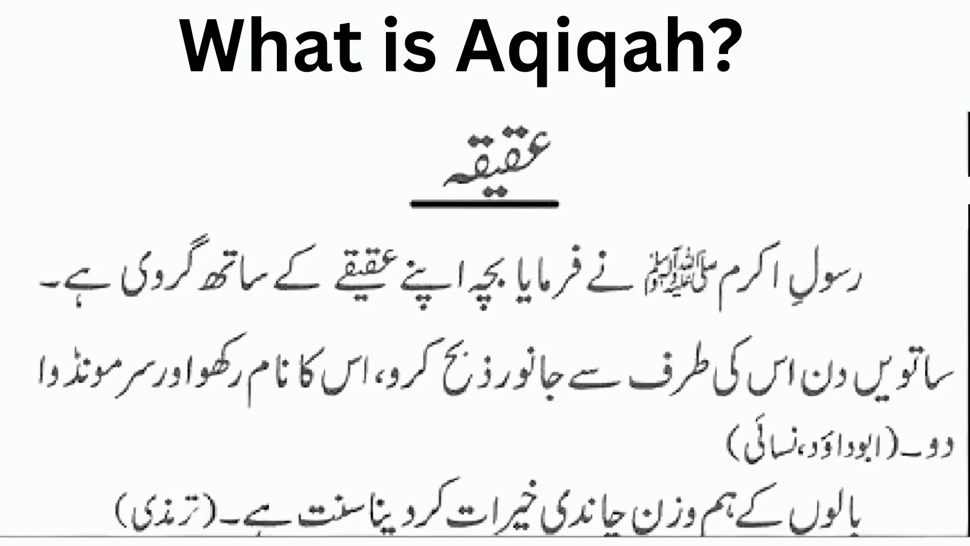The Aqiqah: A Guide to Welcoming a Newborn