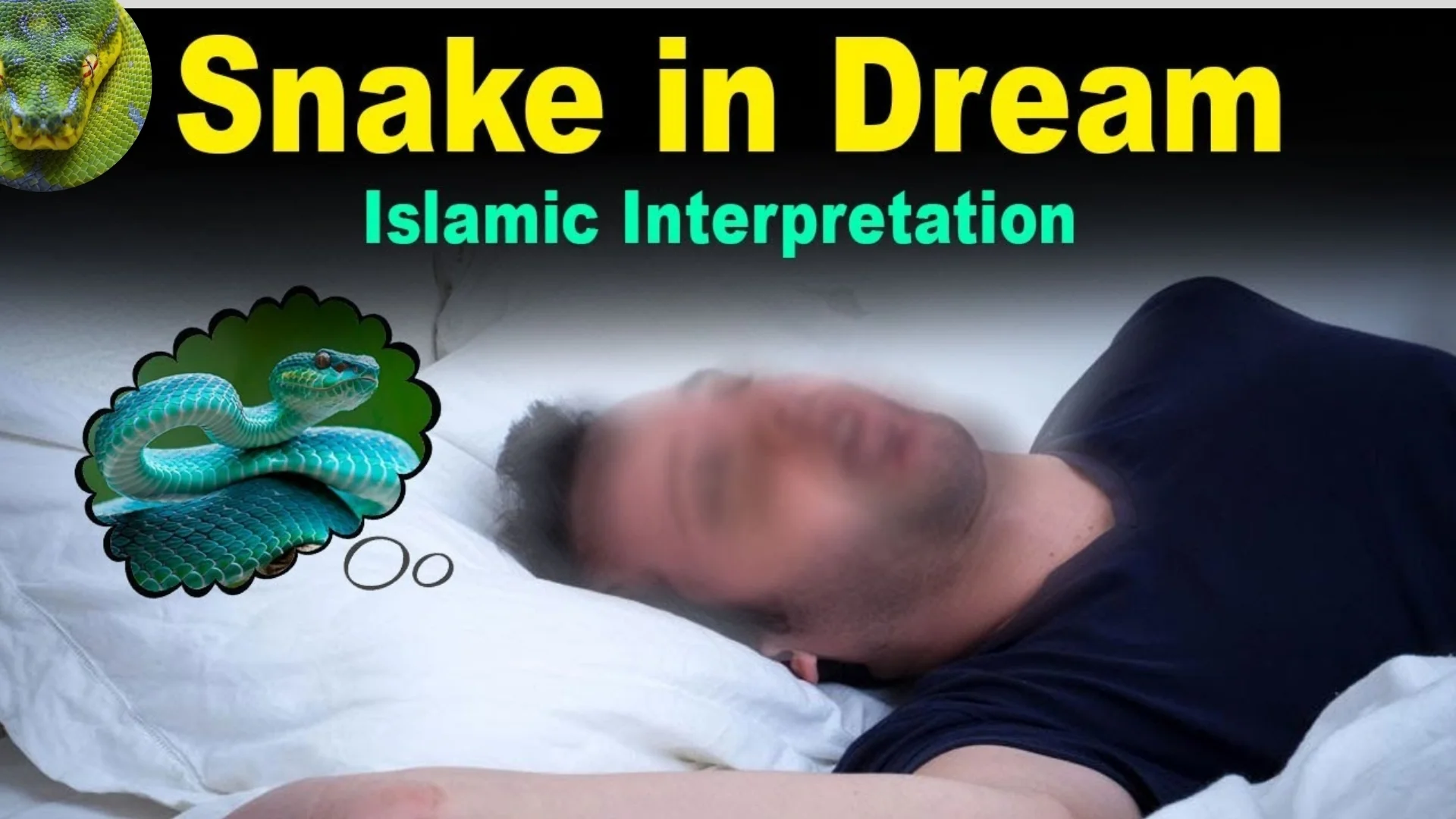 Dreaming of Snakes in Islam